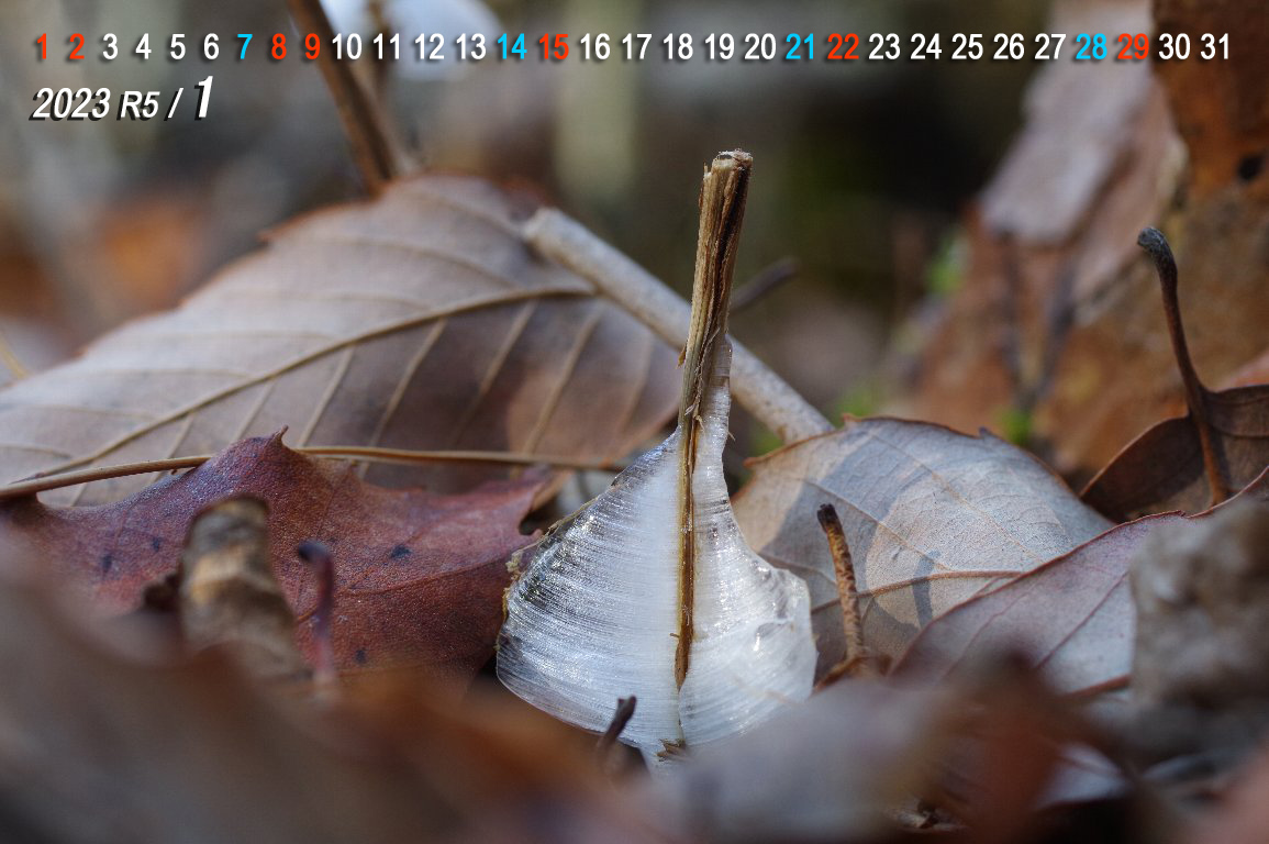 �����i�A�L�`���E�W�j