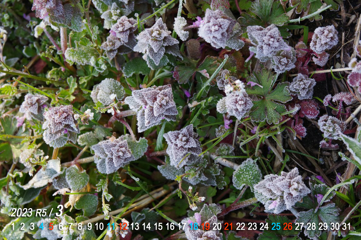 �q���I�h���R�\�E