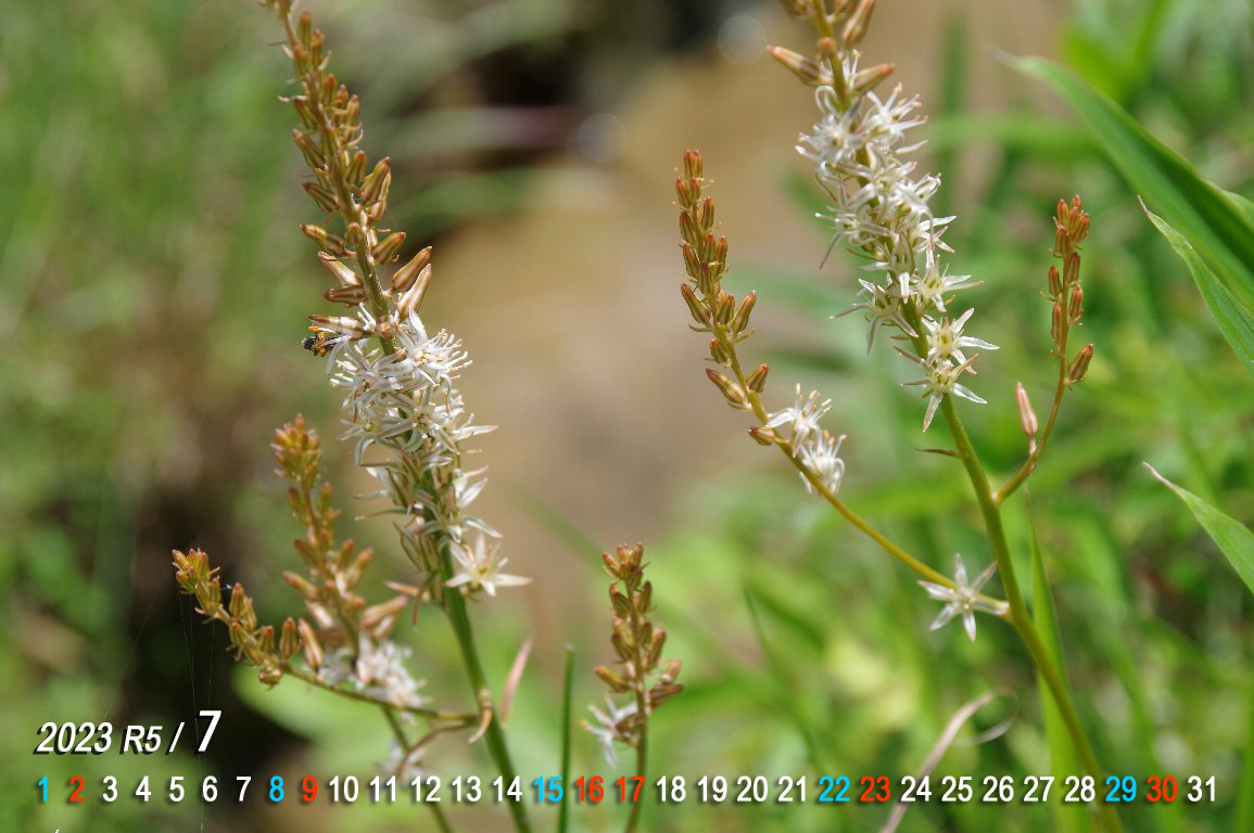 �m�M����