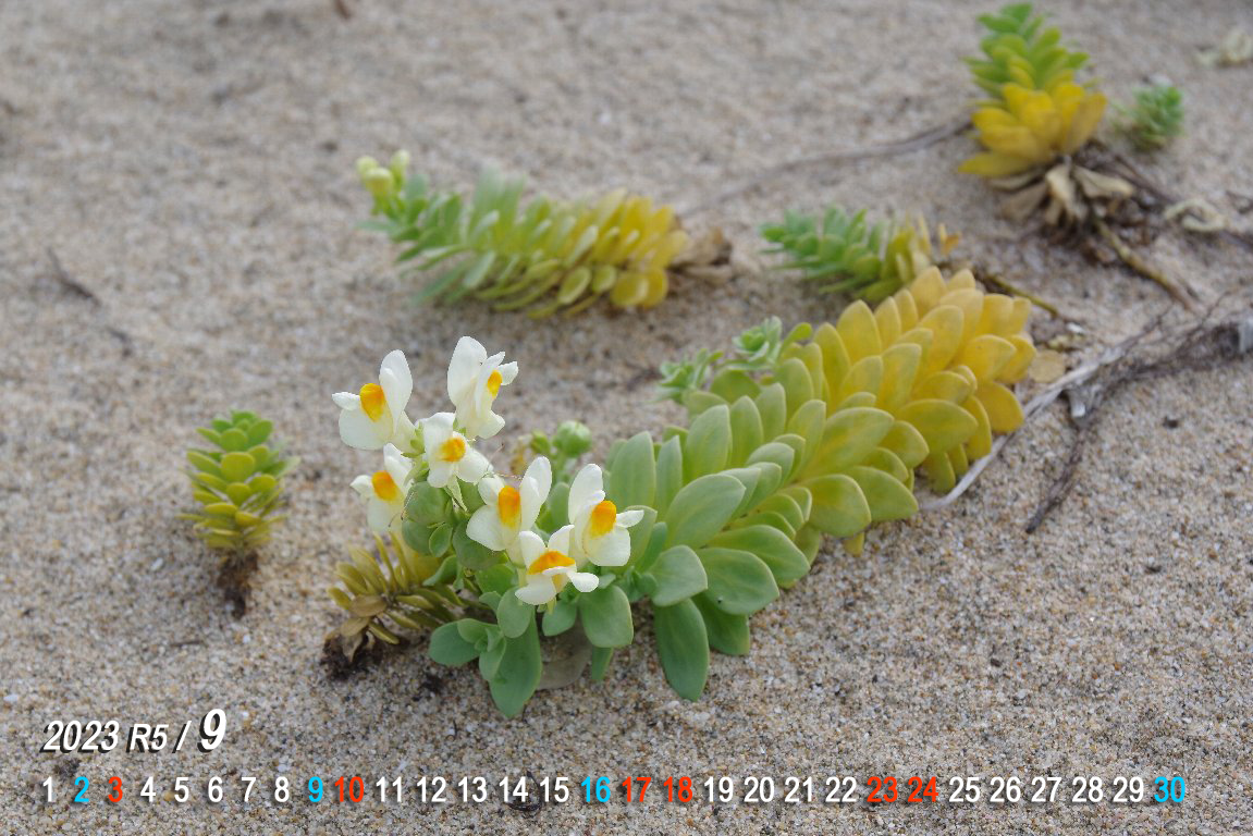 �E������