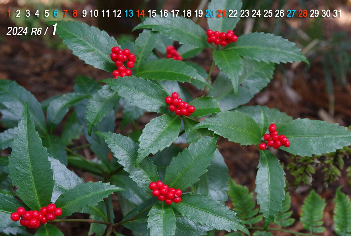 �Z�������E