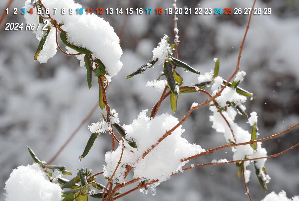 �X�C�J�Y��