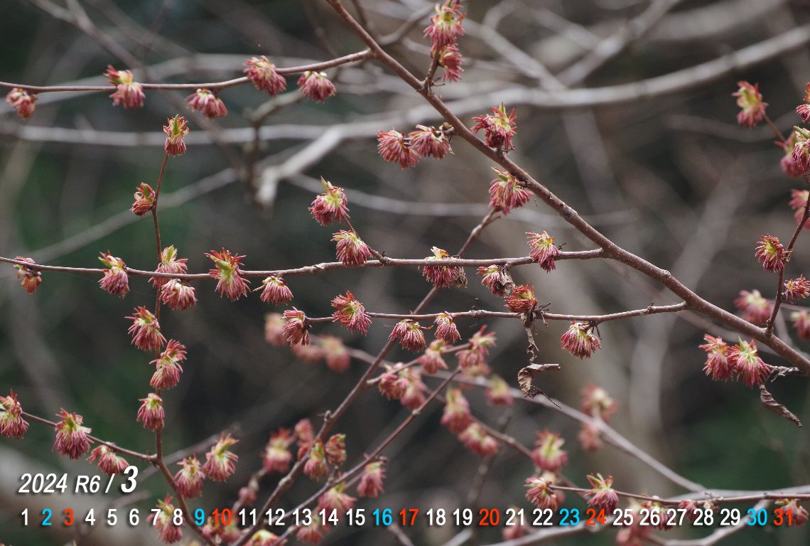 �t�T�U�N��