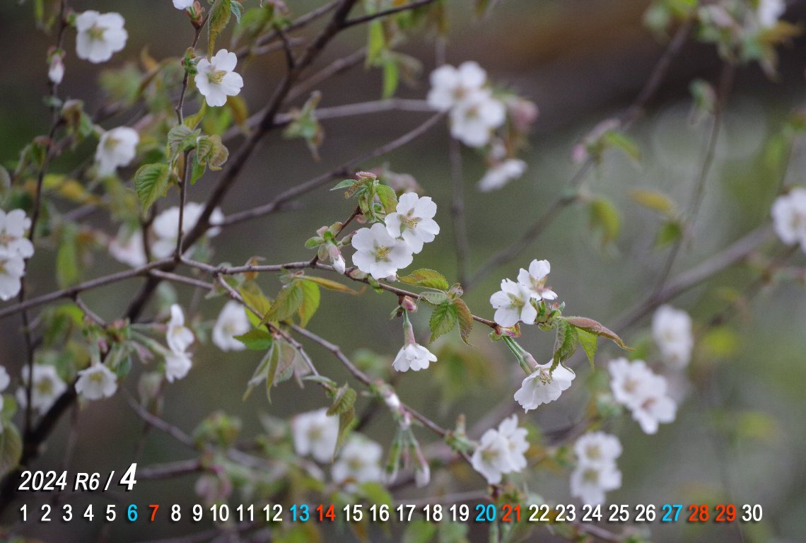 �`���E�W�U�N��