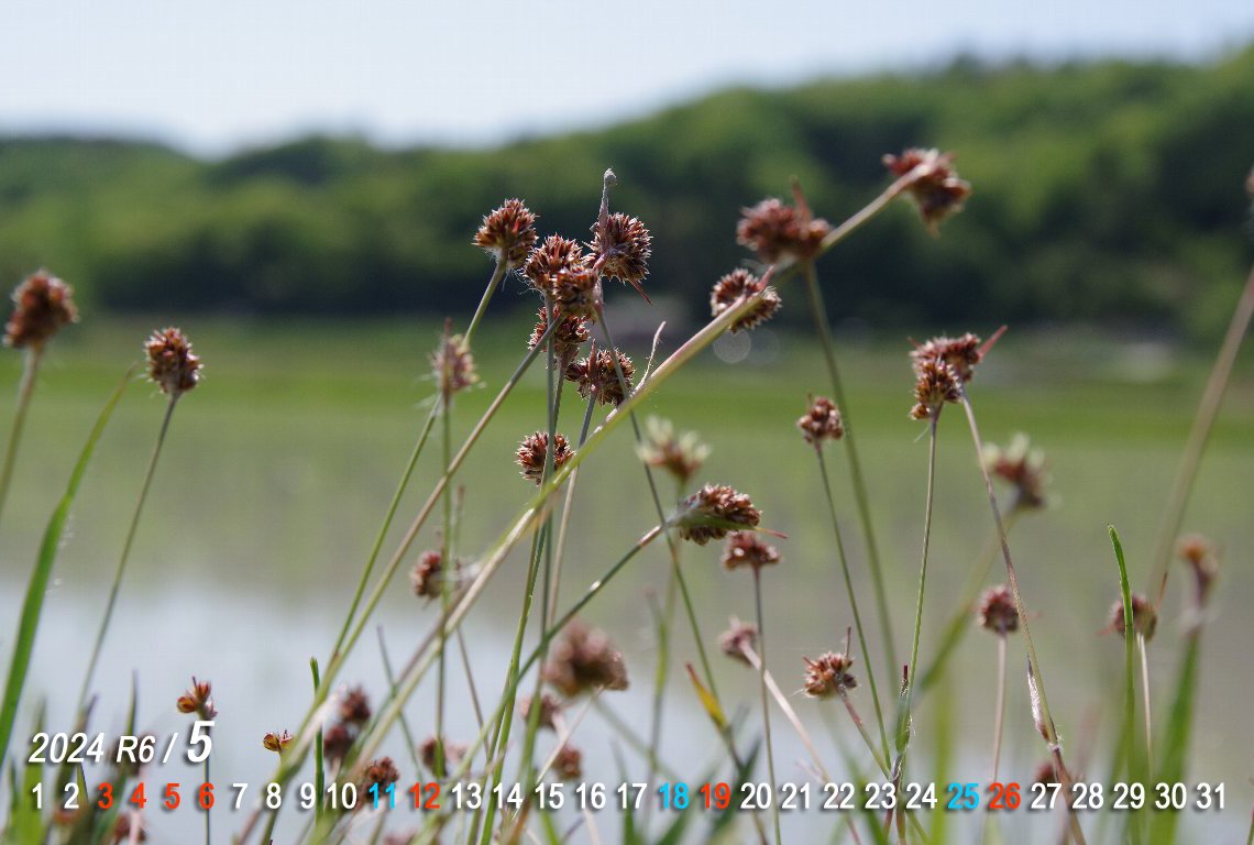 �X�Y���m����