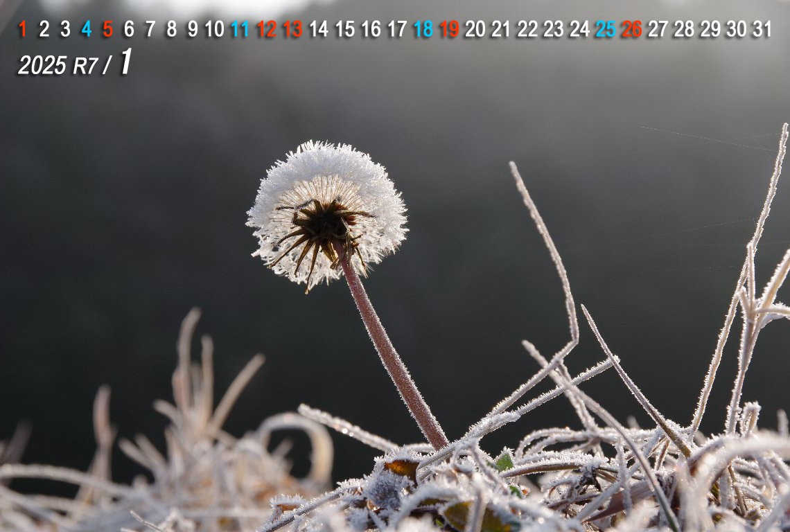 �������̑��F���~