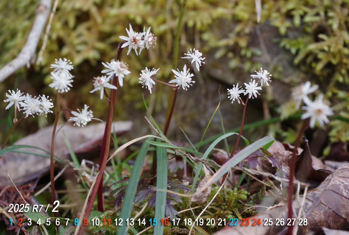 �I�E����