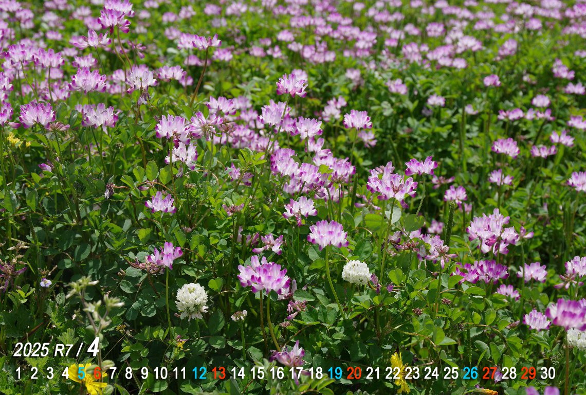 �����Q�\�E