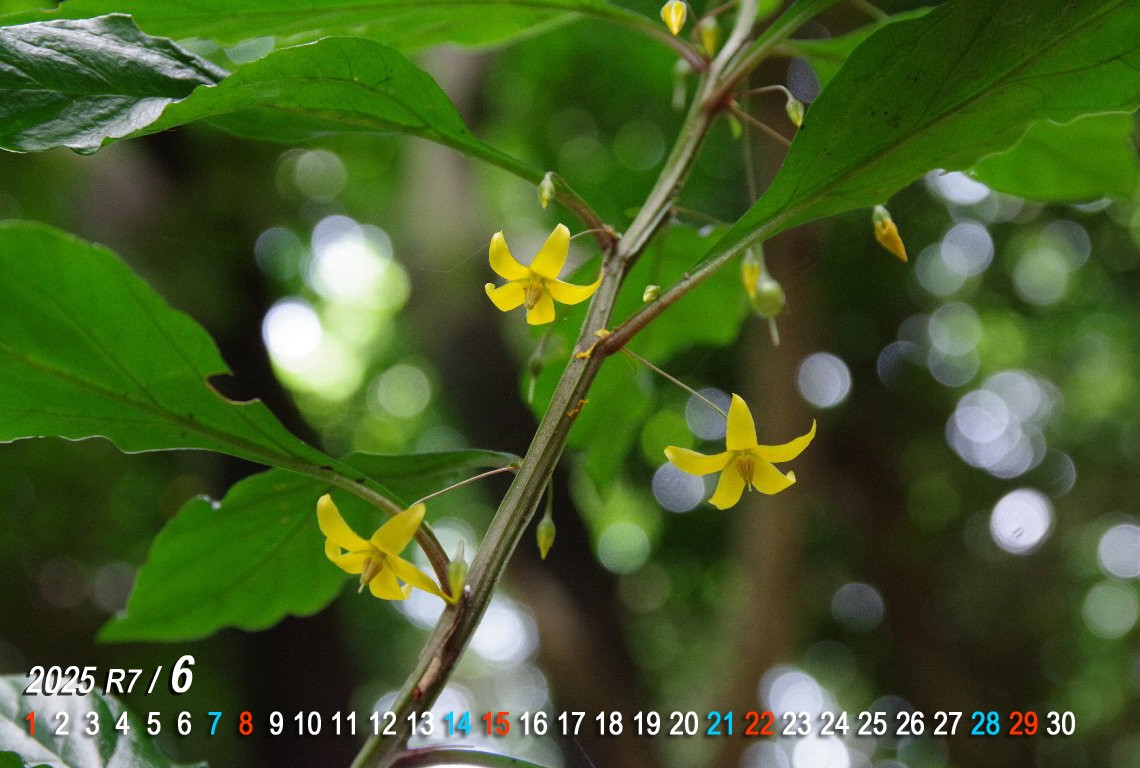 �����R�V�\�E