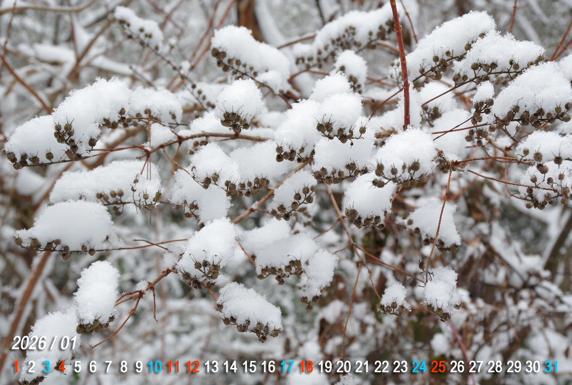 �������i�E�c�M�j