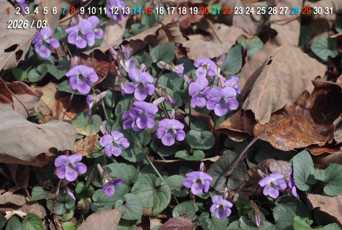 �i�K�o�^�`�c�{�X�~��