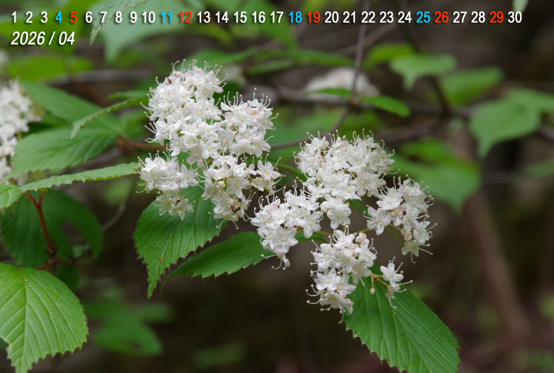 �~���}�K�}�Y�~