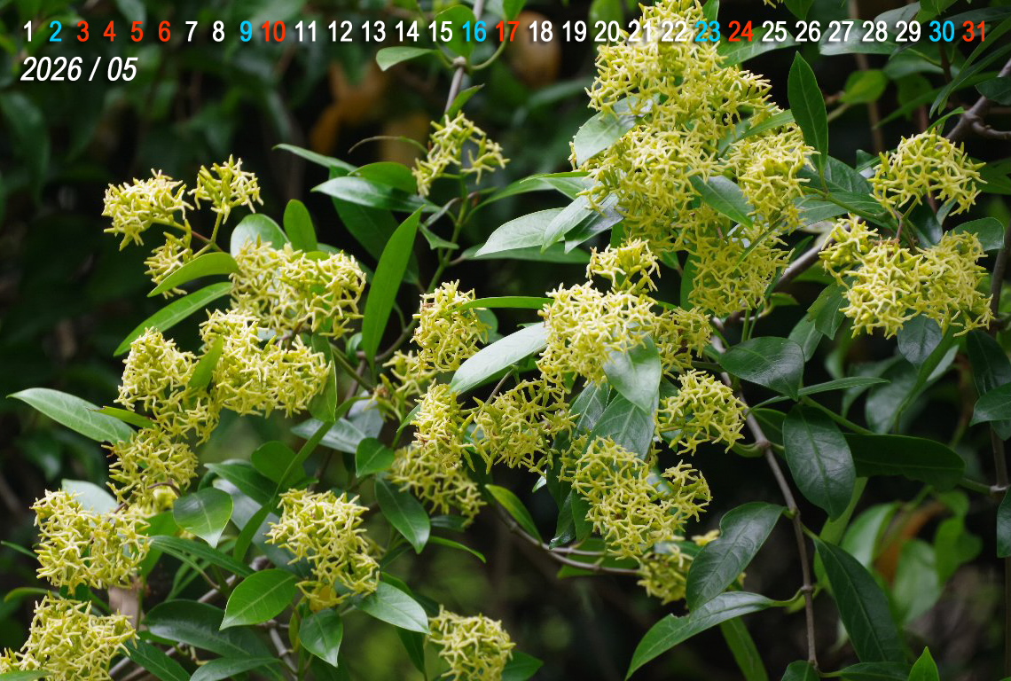 �T�J�L�J�Y��