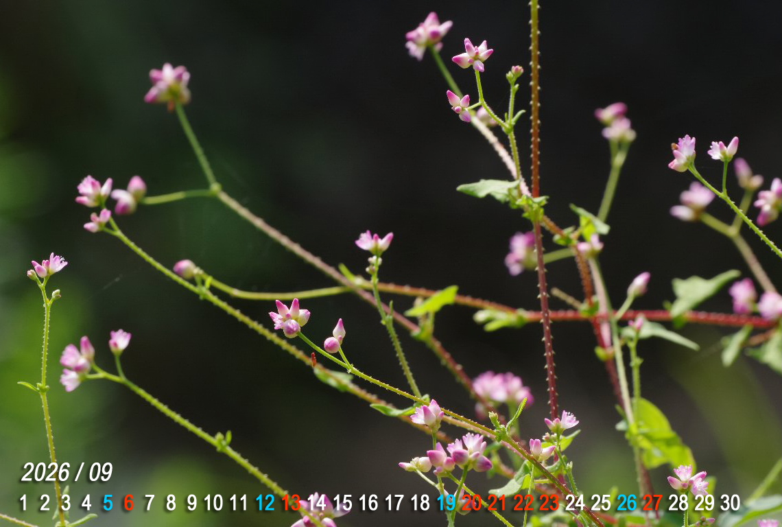 �}�}�R�m�V���k�O�C