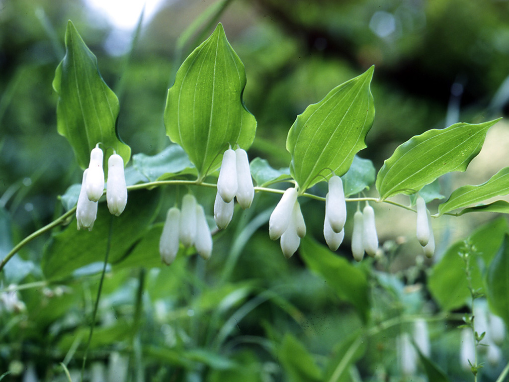 �~���}�i���R����