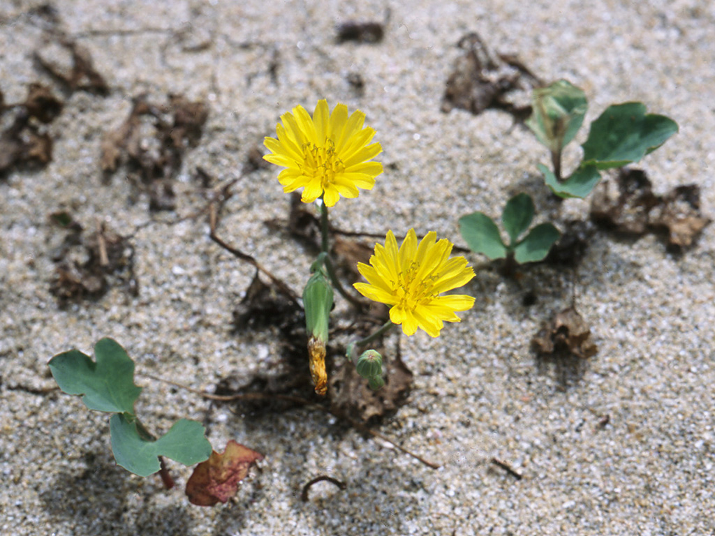 �n�}�j�K�i