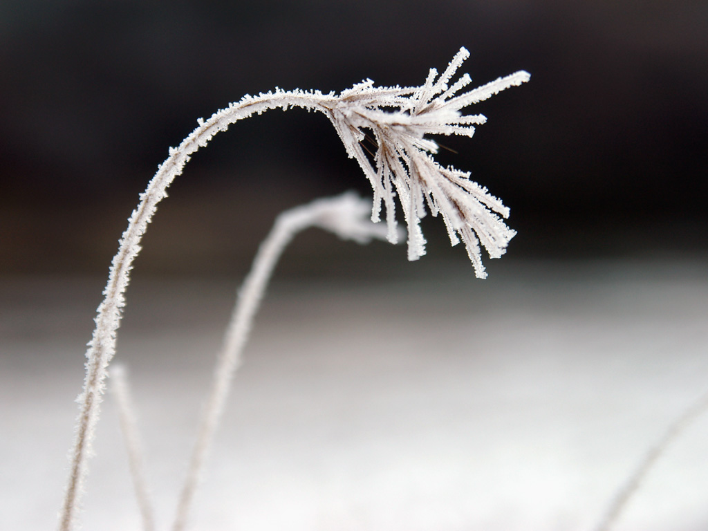 �`�J���V�o