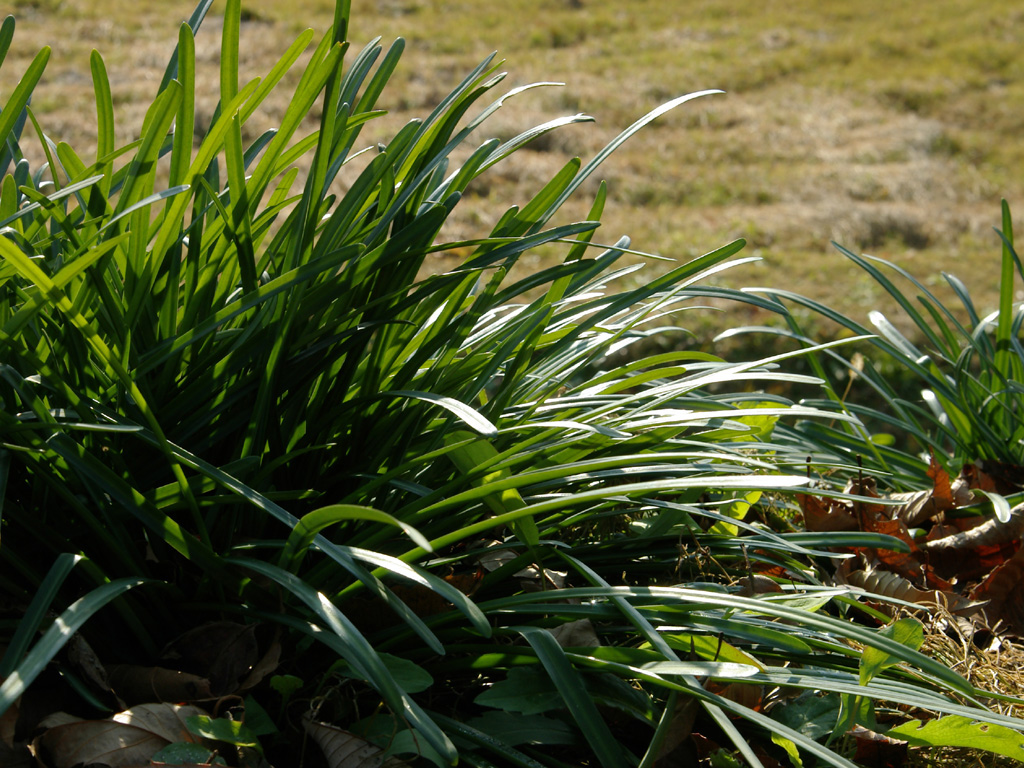 �q�K���o�i