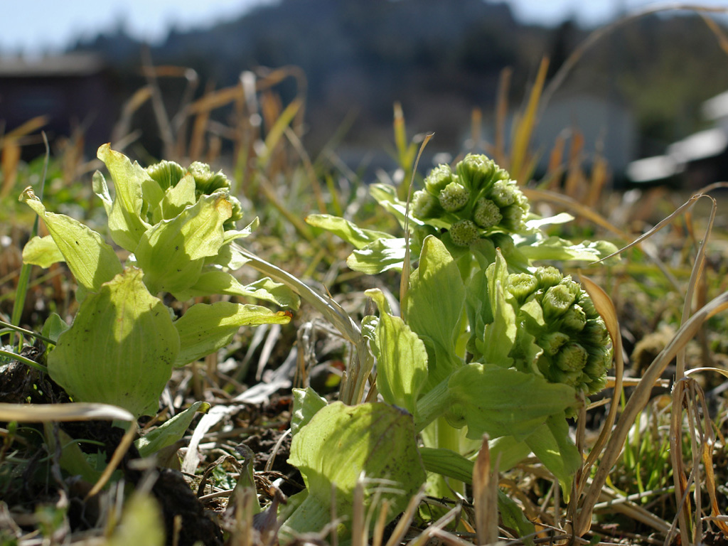 �t�L�m�g�E