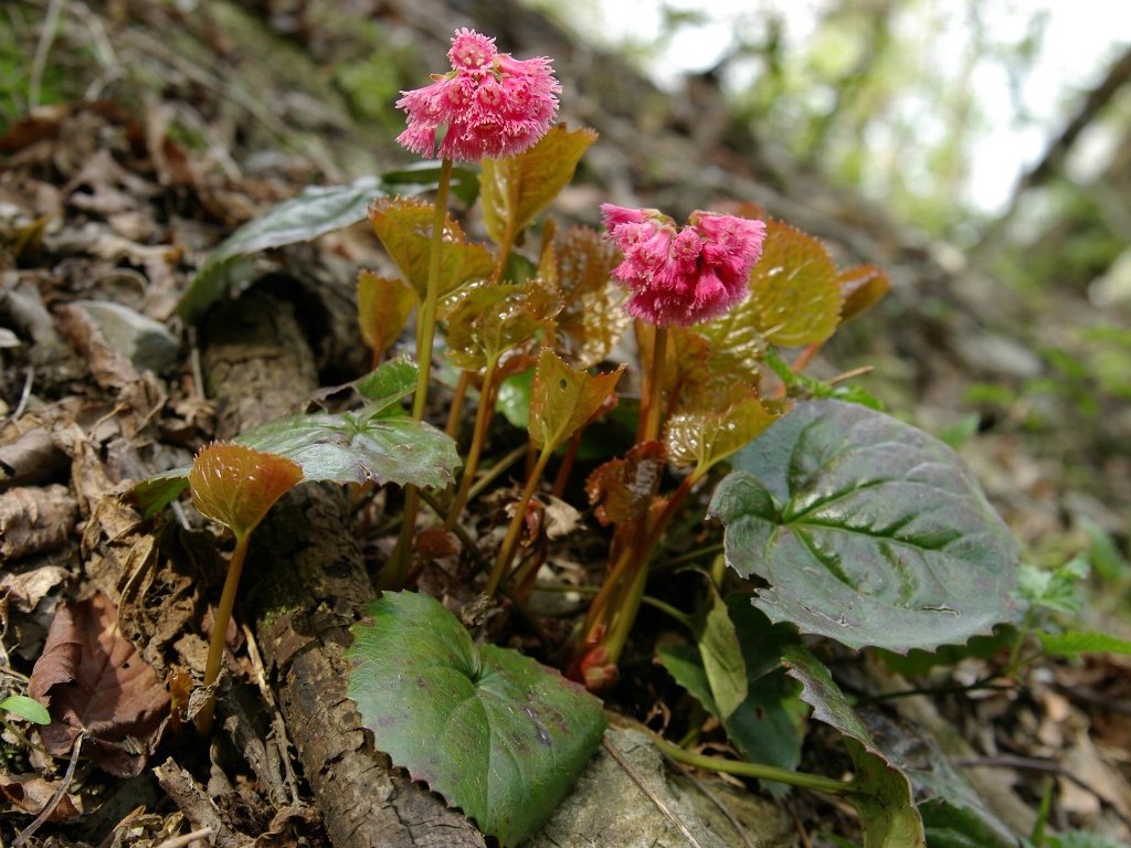 �I�I�C���J�K�~