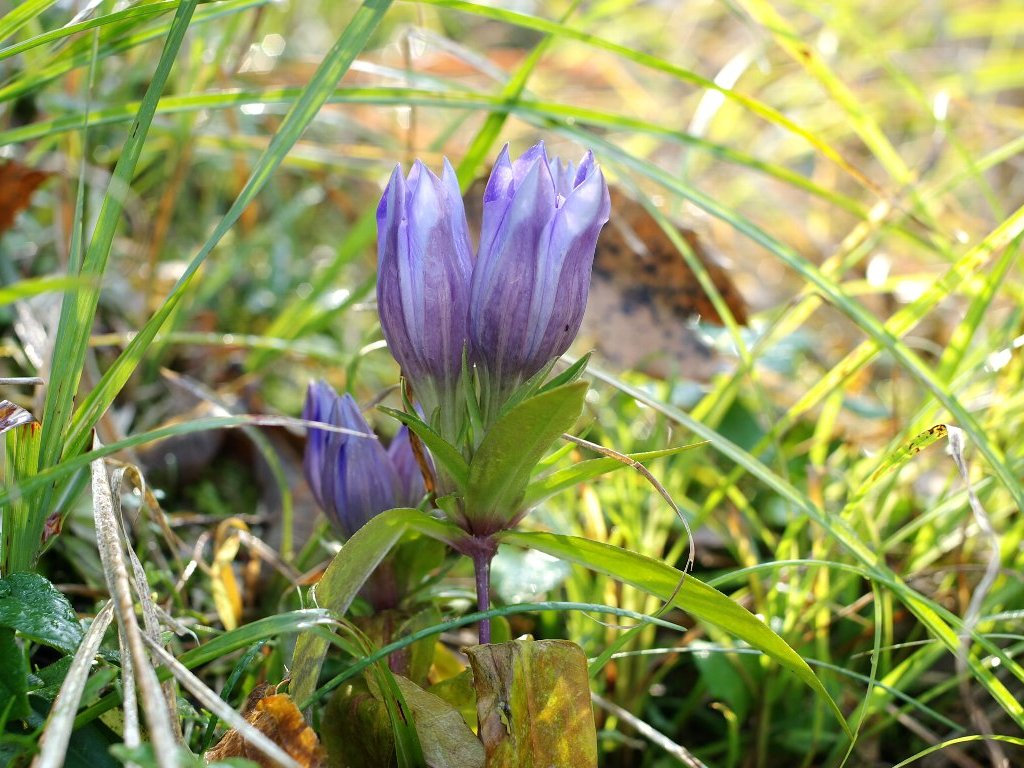 �����h�E