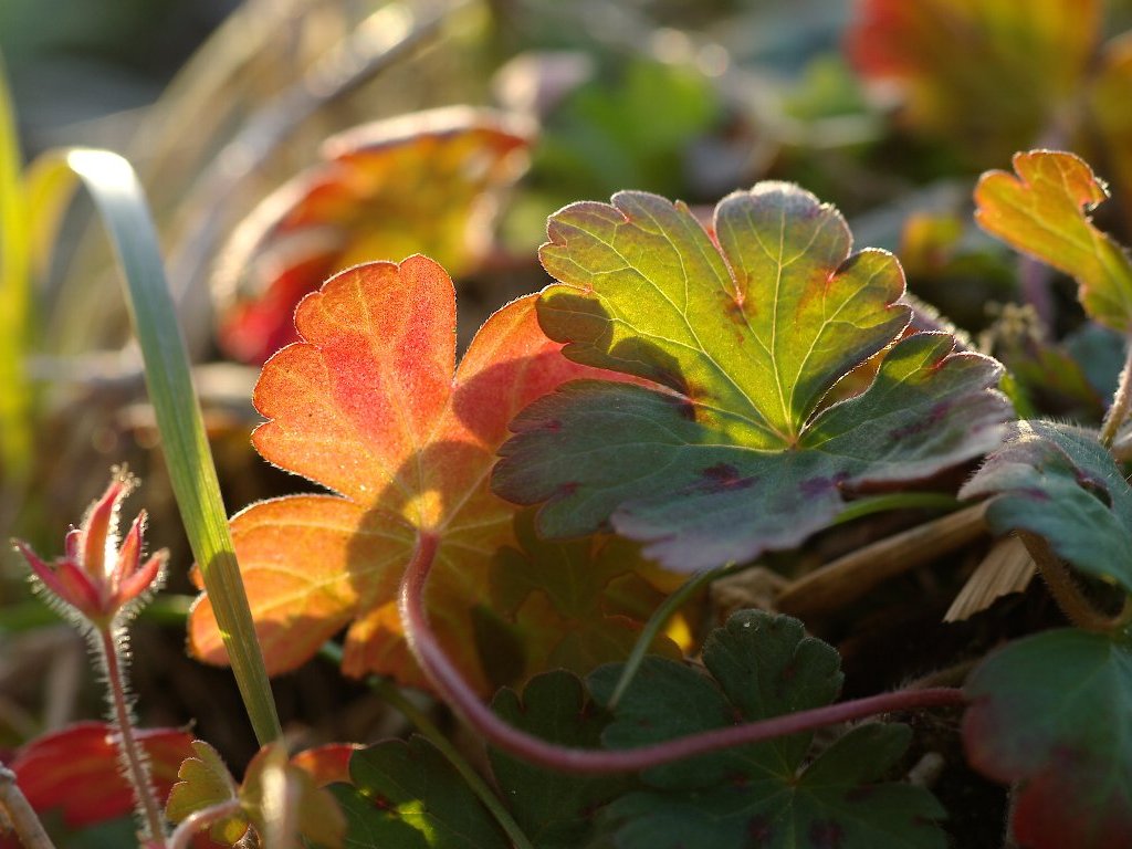 �Q���m�V���E�R