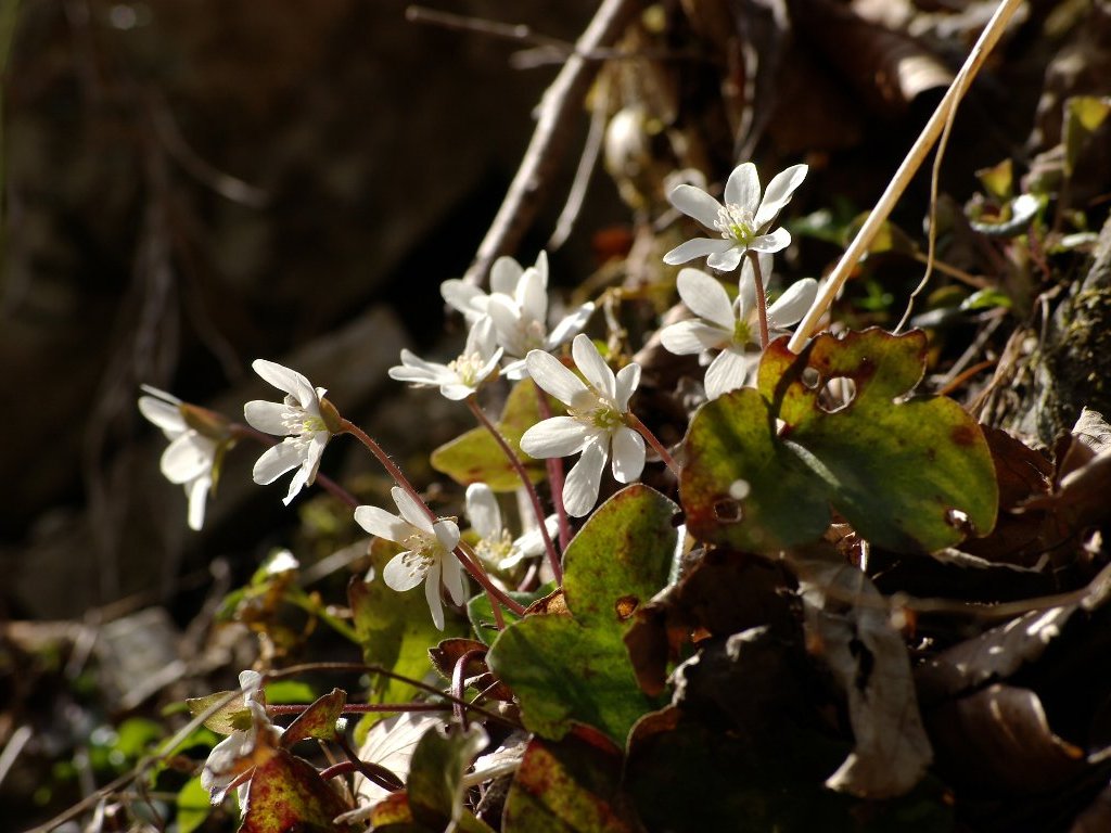 �~�X�~�\�E