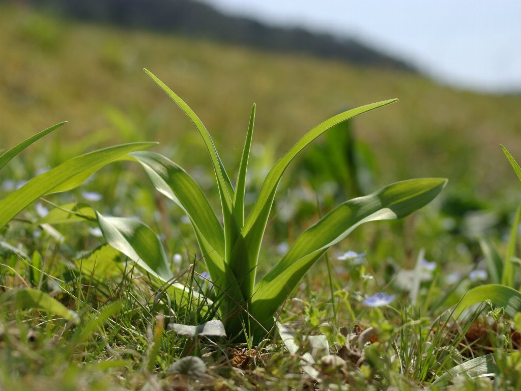 ���u�J���]�E