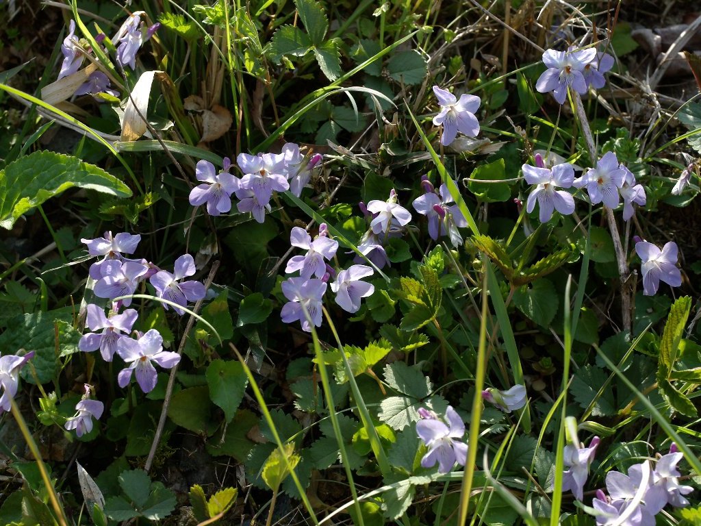 �^�`�c�{�X�~��