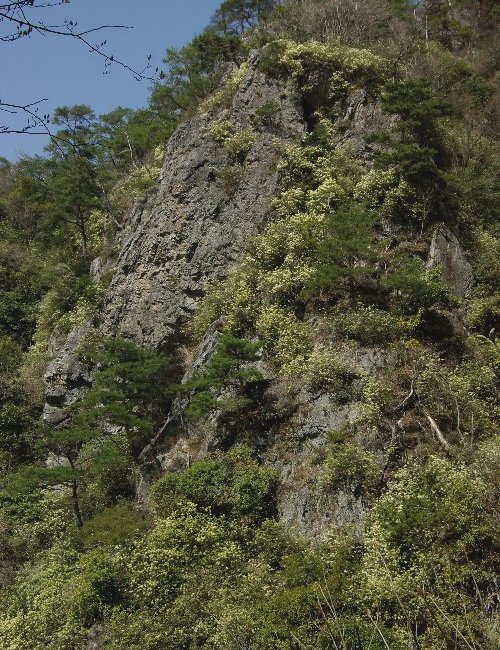 �q�J�Q�c�c�W�Q��