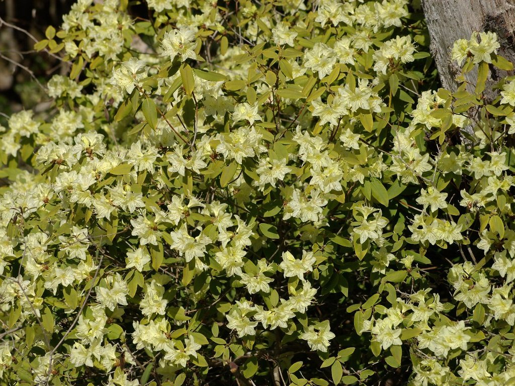 �q�J�Q�c�c�W