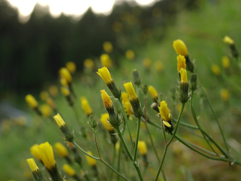 �R�E�]���i