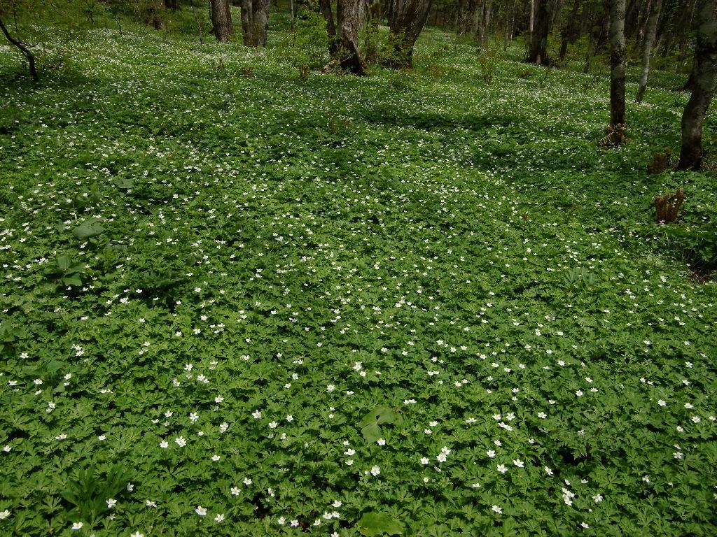 �j�����\�E