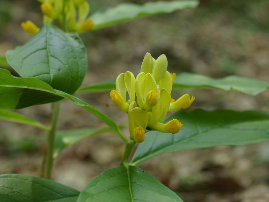 �J�L�m�n�O�T