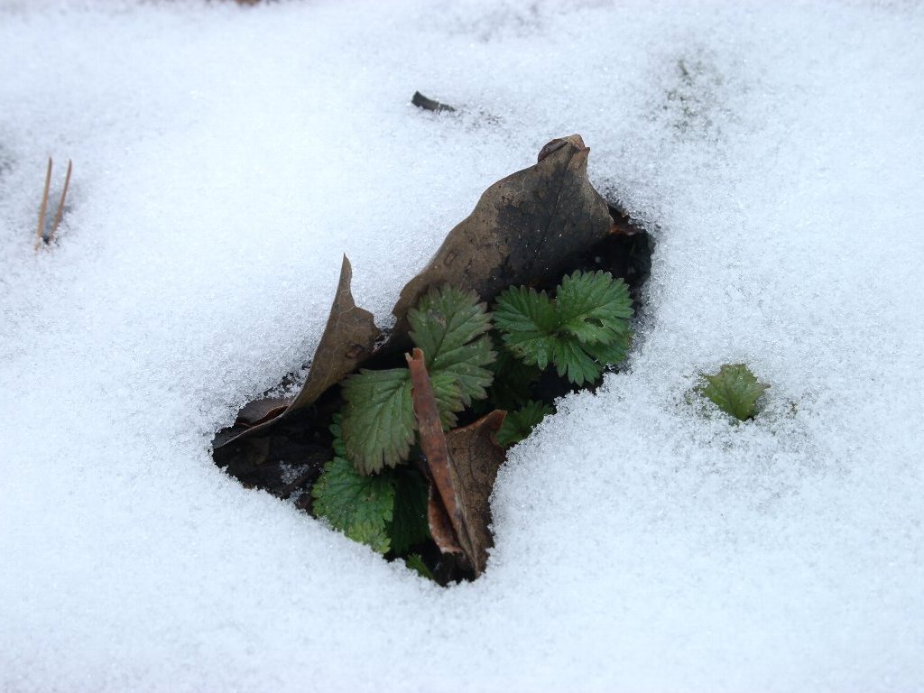 ��̒�����