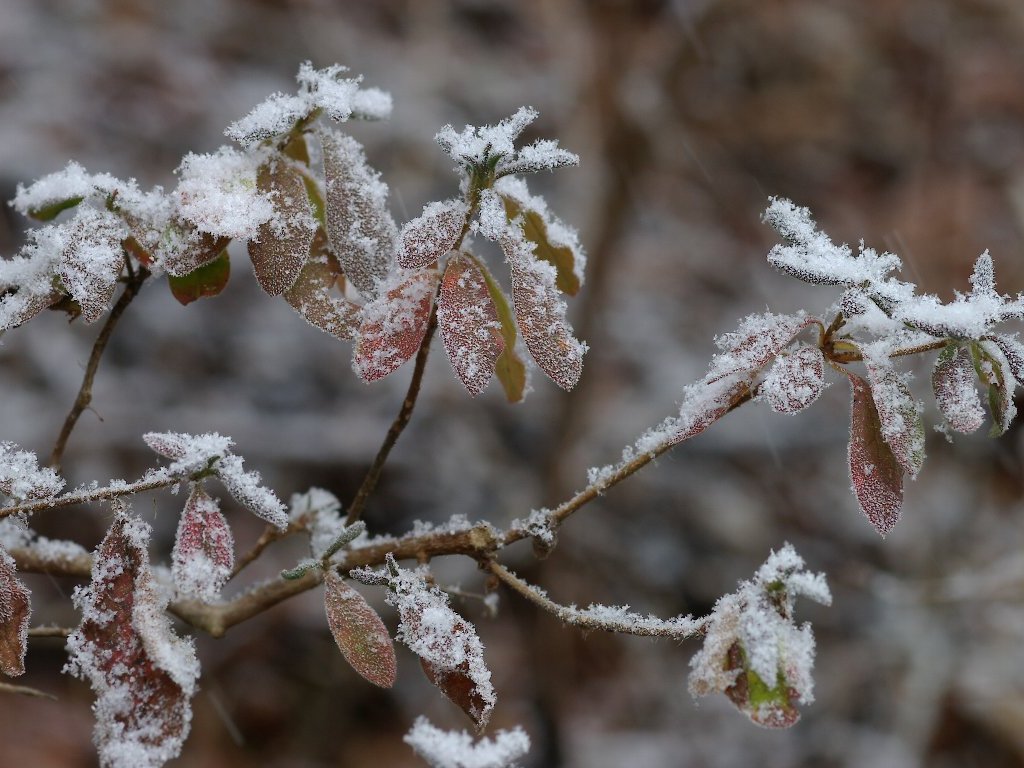 ���`�c�c�W