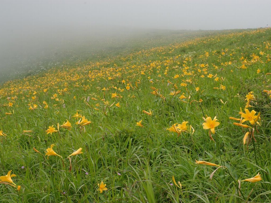 �j�b�R�E�L�X�Q