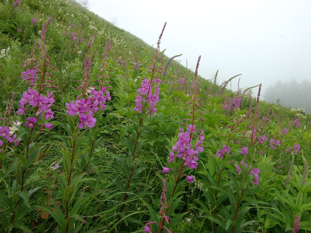 ���i�M����