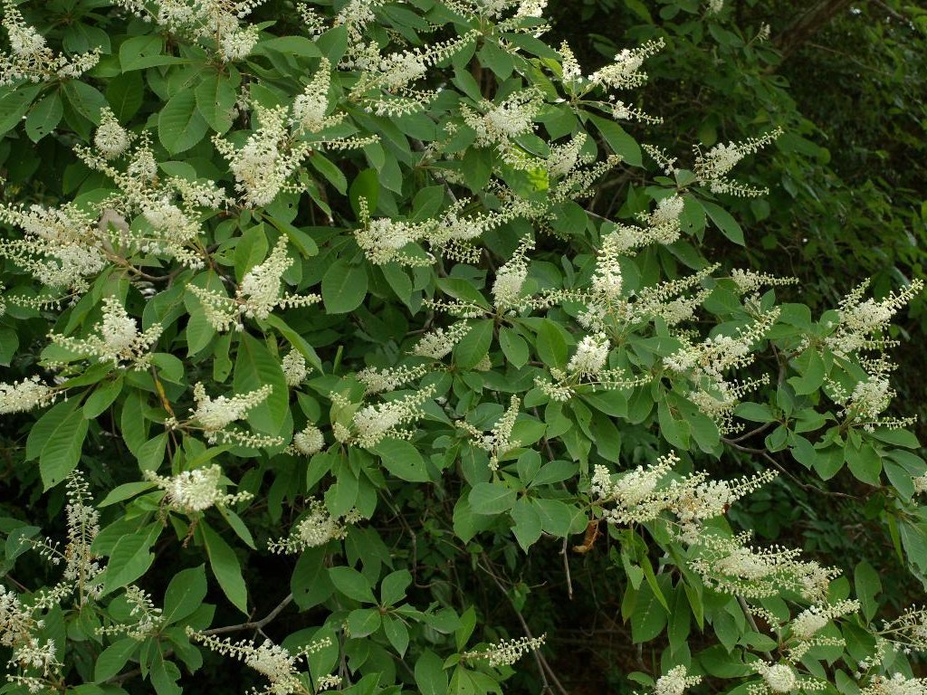 �����E�u