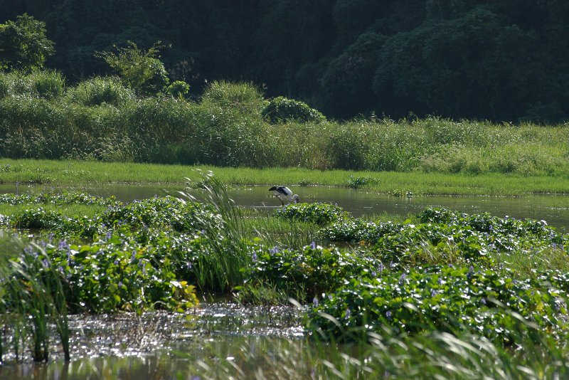 �R�E�m�g��