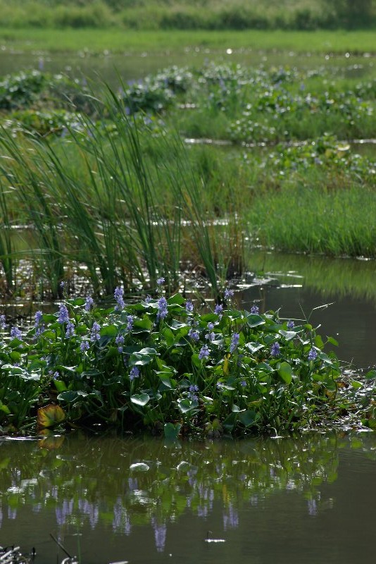 �~�Y�A�I�C