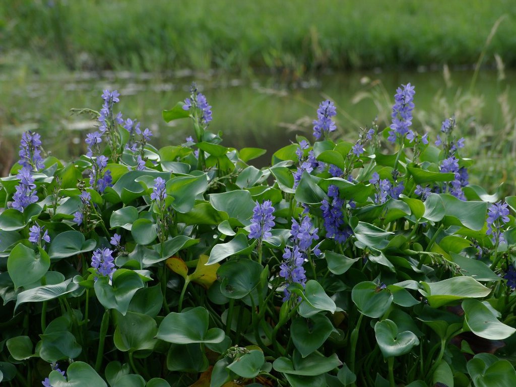 �~�Y�A�I�C