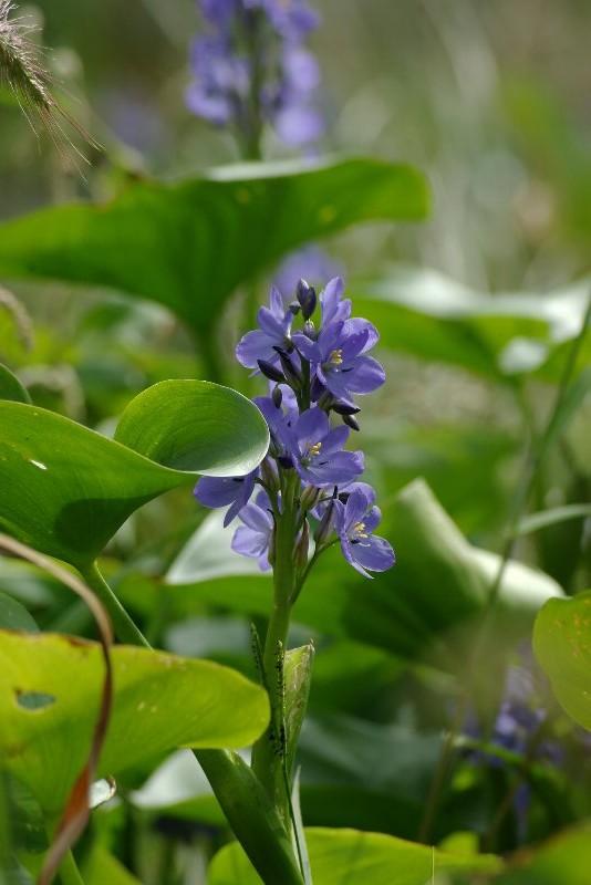 �~�Y�A�I�C