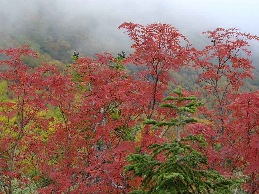 �i�i�J�}�h