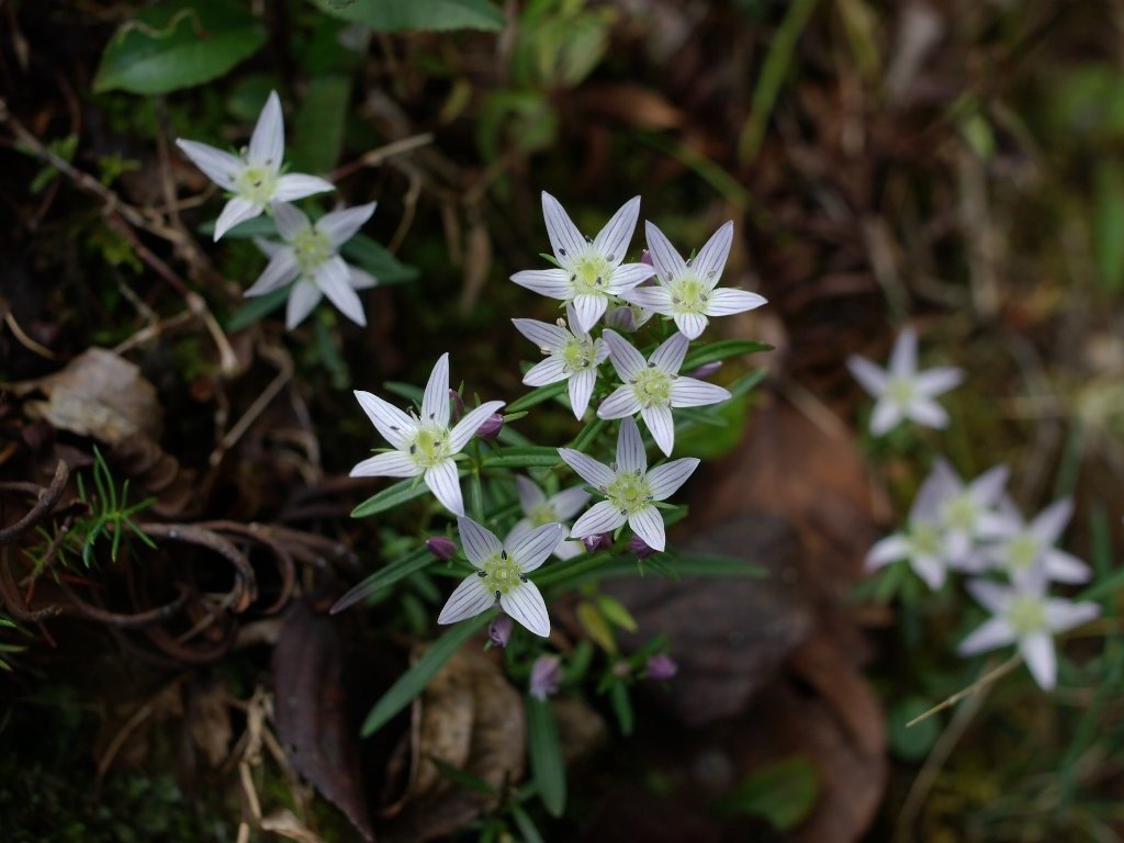 �Z���u��