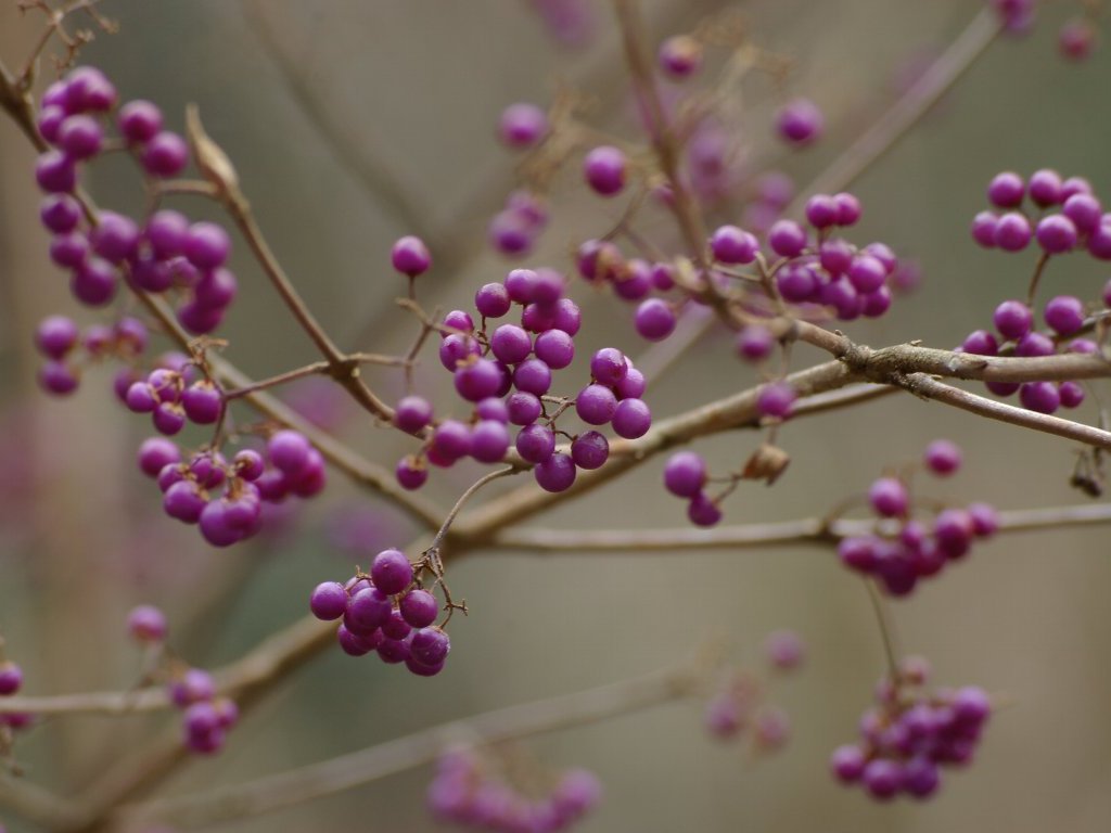 �����T�L�V�L�u