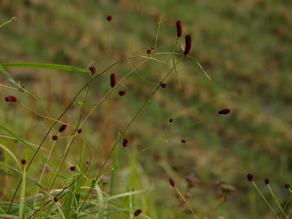 �������R�E