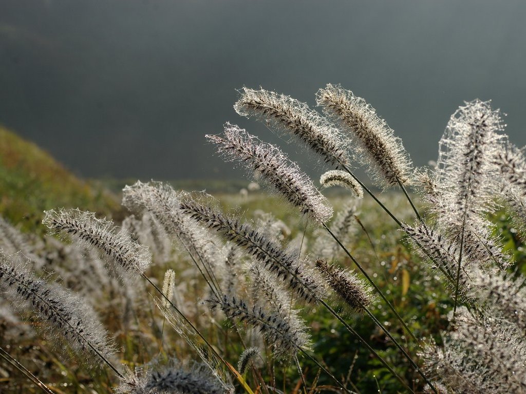 �`�J���V�o