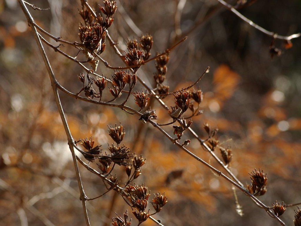 �^�j�E�c�M