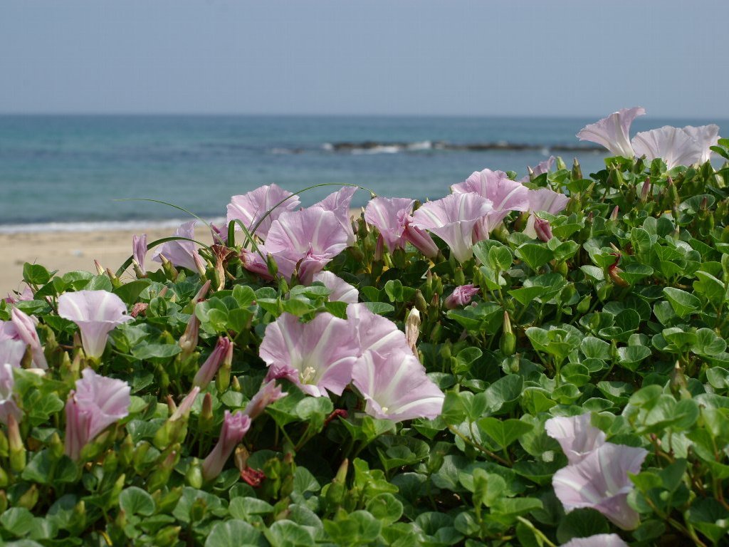 �n�}�q���K�I